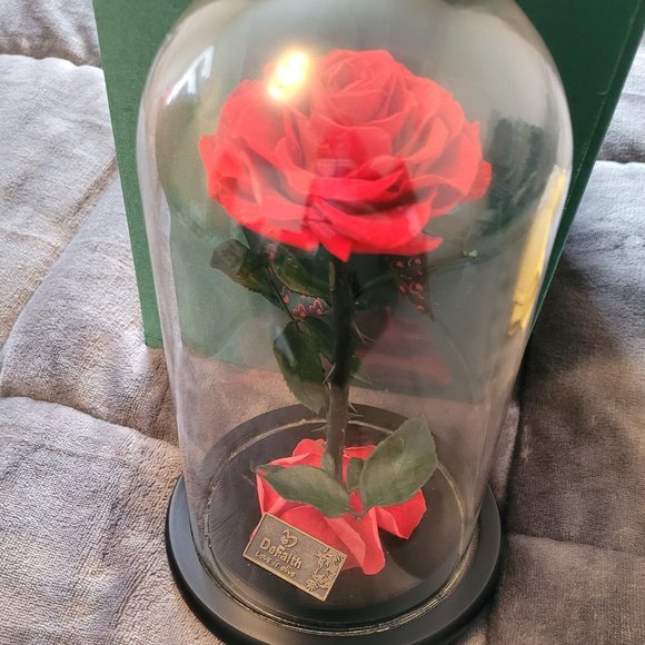 Preserved Living Red Rose - Picture 1 of 5